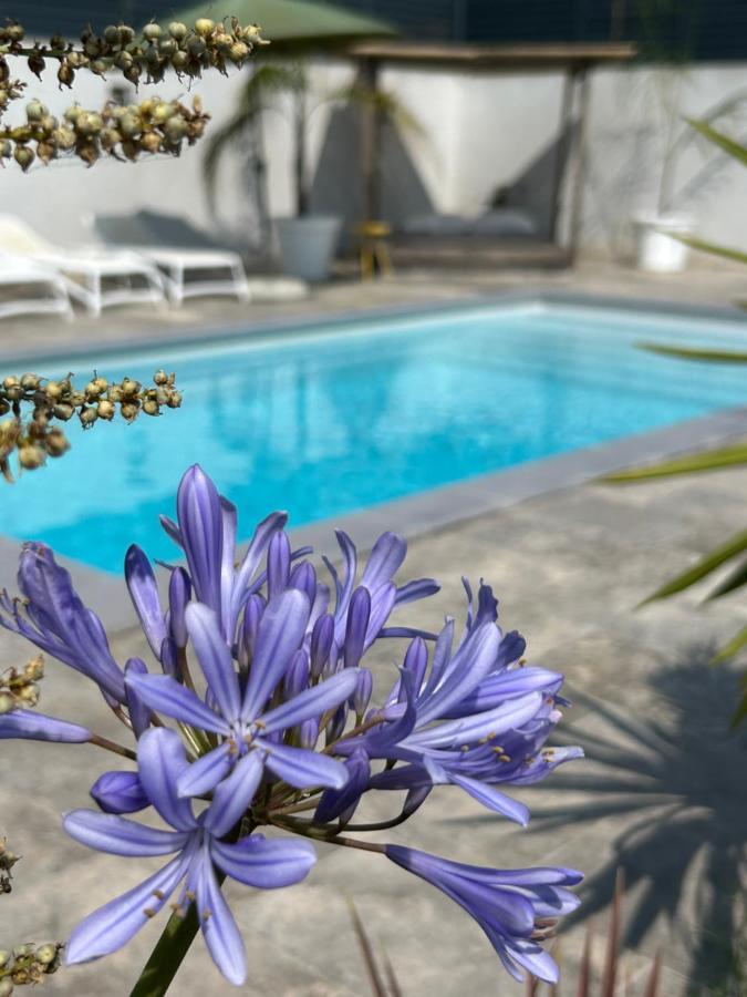 La Pointe D'Aspretto Βίλα Αζάτσιο Εξωτερικό φωτογραφία